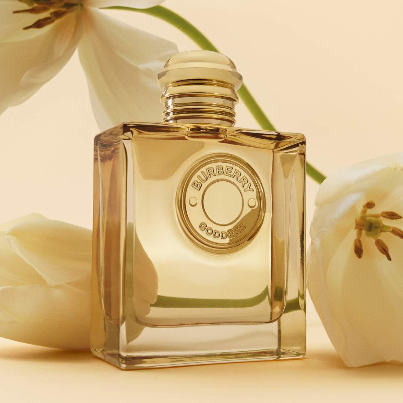 BURBERRY Goddess Eau de Parfum Gift Set