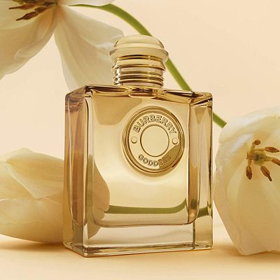 06b24cdc7a79406810161ebc4a773f