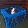 Pet Gear Generation II Deluxe 35 3/4-in. Portable Soft Crate