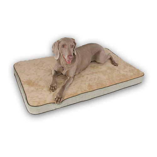 pet memory cushion