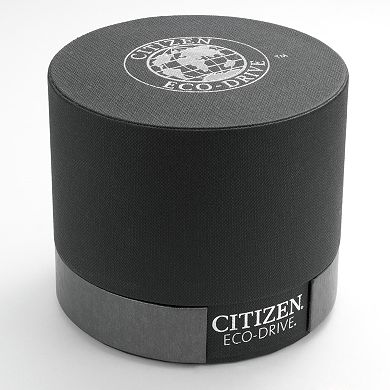 Citizen Eco-Drive Men's Leather Watch - AO9000-06B