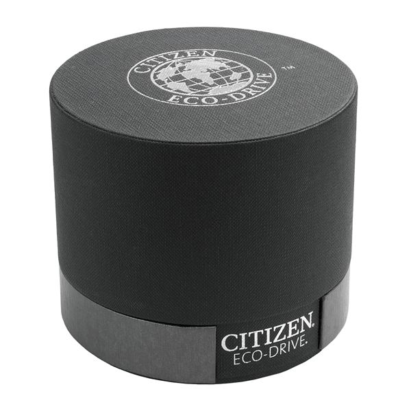 kohl's citizen eco drive mens watch