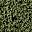 Deep Fern
