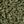Deep Fern