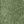 Deep Fern