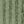 Deep Fern