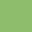 White Light Green