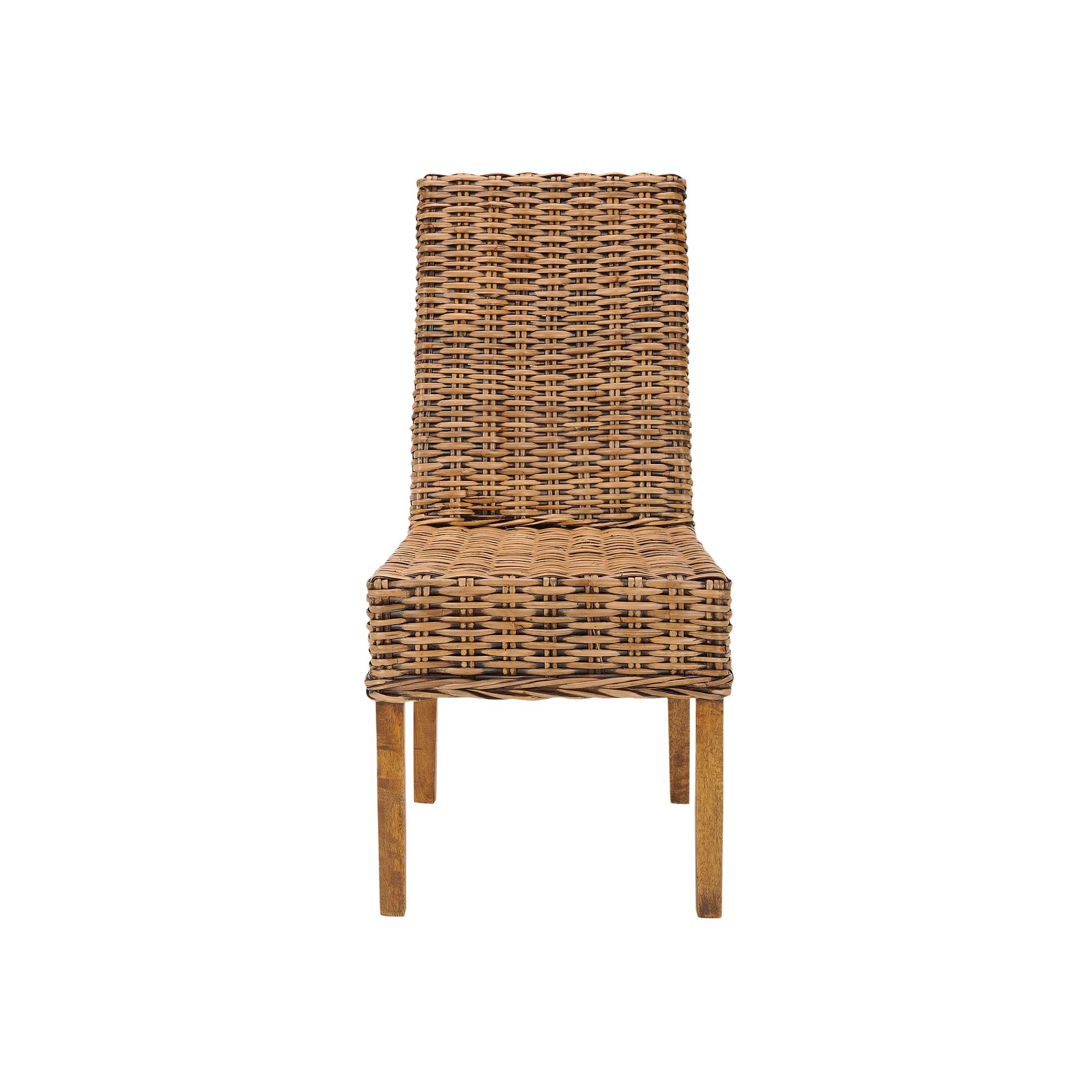 Safavieh 2-pc. Sanibel Chair Set, Brown