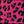 Magenta Leopard