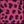 Magenta Leopard