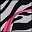 Pink Zebra