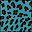 Blue Leopard