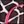 Pink Giraffe