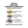 Seiko Men's Diamond Stainless Steel Solar Watch - SNE243 - Men