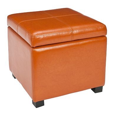 Safavieh Madison Leather Storage Ottoman