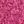 Fuschia