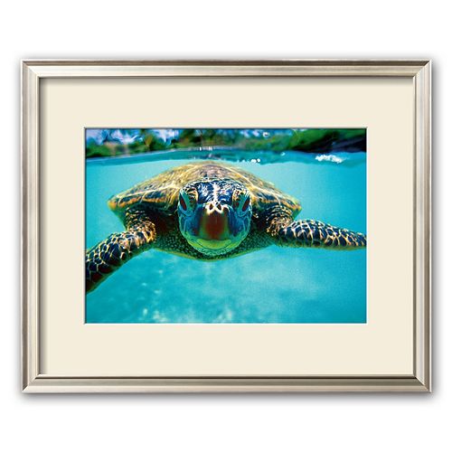 Art.com Honu, Turtle Framed Art Print by Kirk Lee Aeder
