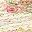 Antique Rose