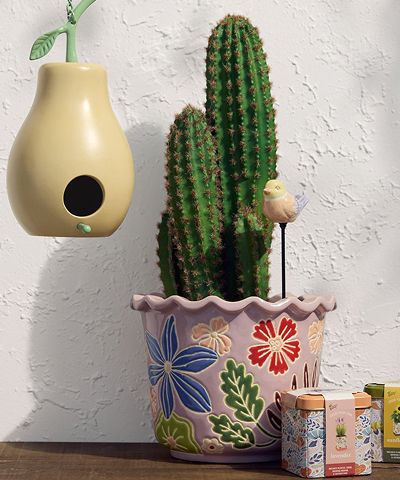 Urban Garden Collection