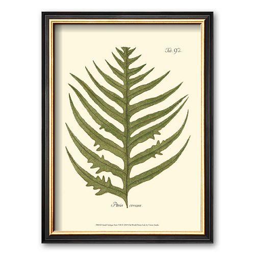 Art.com Small Antique Fern VIII Framed Art Print by Denis Diderot