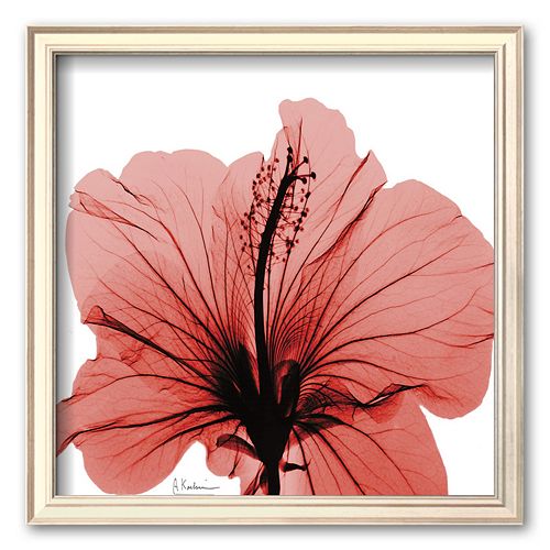 Art.com Close-Up of Red Beauty Framed Art Print by Albert Koetsier