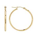 Hoop Earrings