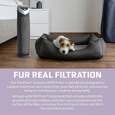 GermGuardian 3-in-1 Digital Air Cleaning System