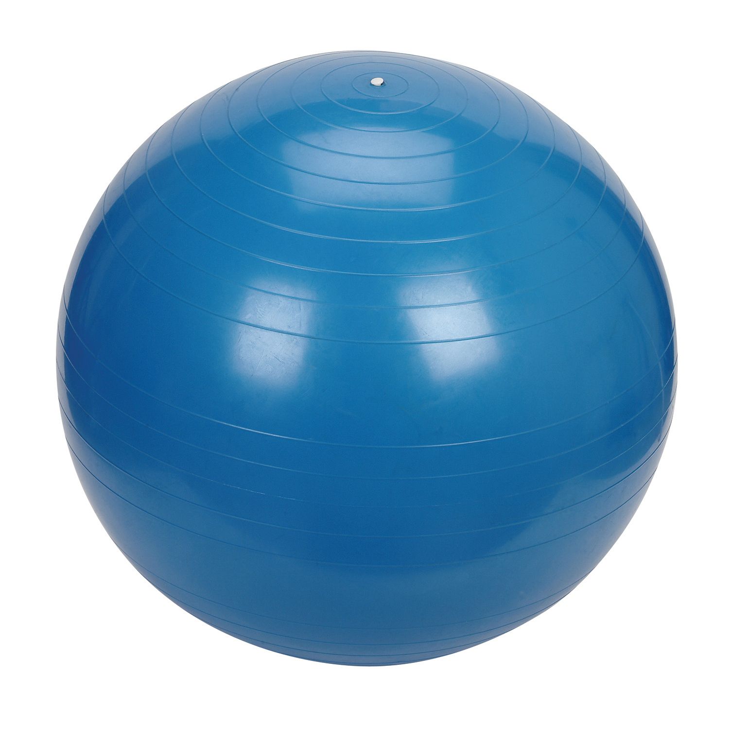 exercise ball shop