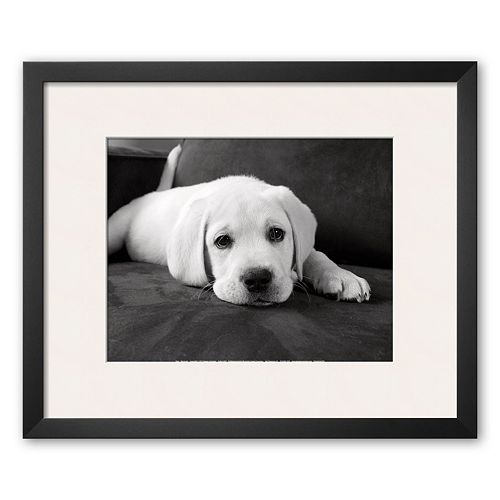 Art.com Finn Framed Art Print by Kim Levin