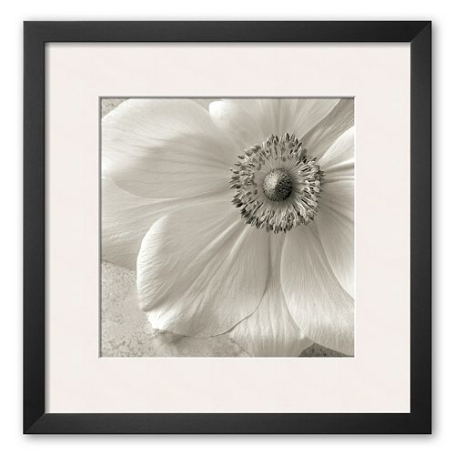 Art.com Poppy Study II Framed Art Print by Sondra Wampler