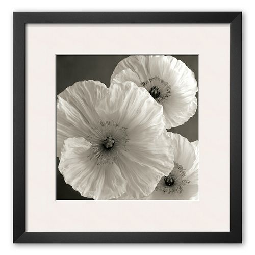 Art.com Poppy Study IV Framed Art Print by Sondra Wampler