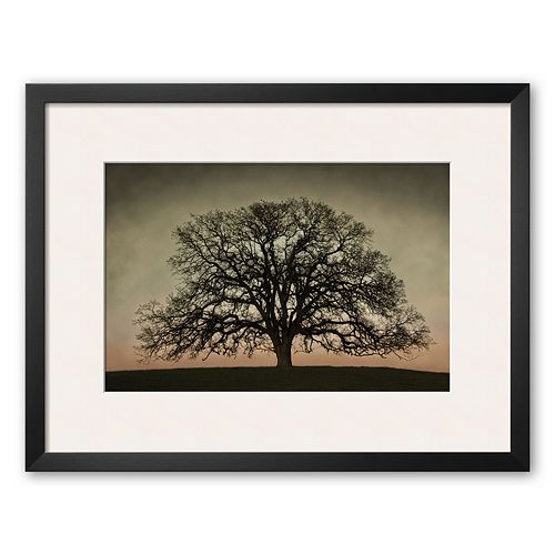 Art.com Majestic Oak Framed Art Print by David Winston