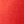 Salsa