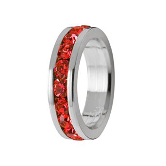 Traditions Jewelry Company Sterling Silver Crystal Birthstone Rondelle Charm