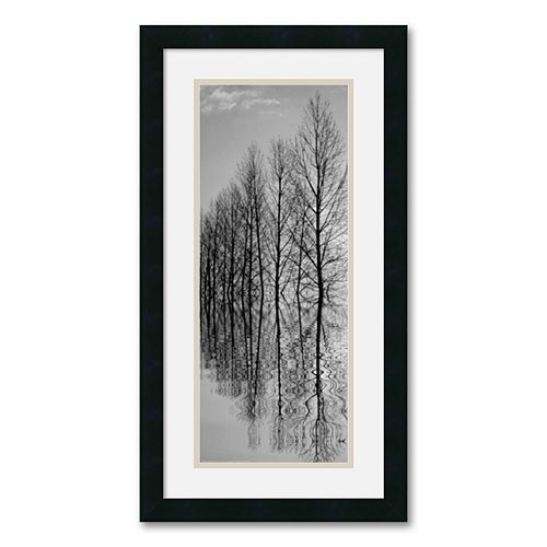 Reflections II Framed Art Print