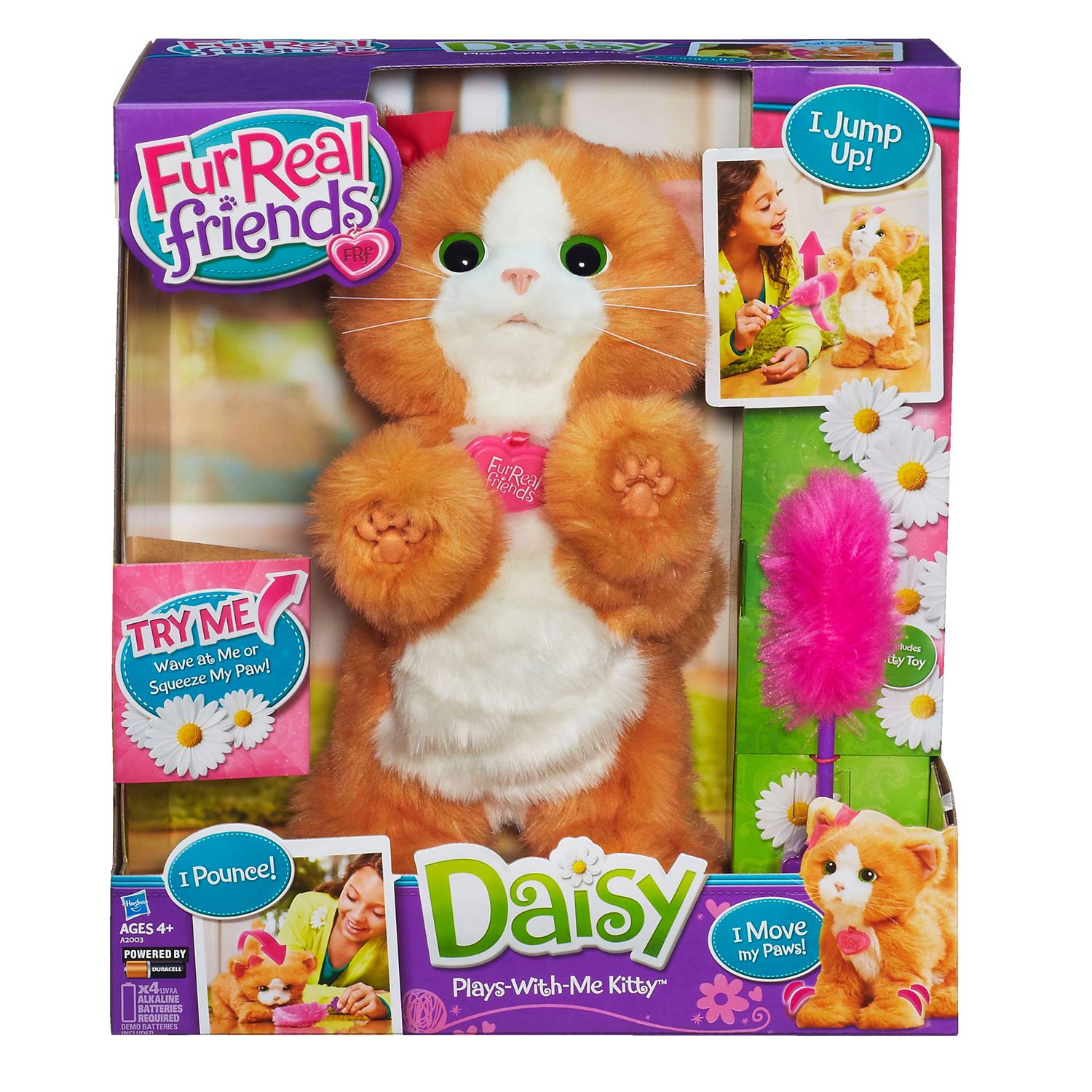 daisy hasbro