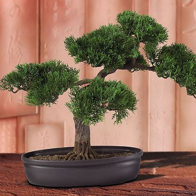 nearly natural Silk Cedar Bonsai Tree