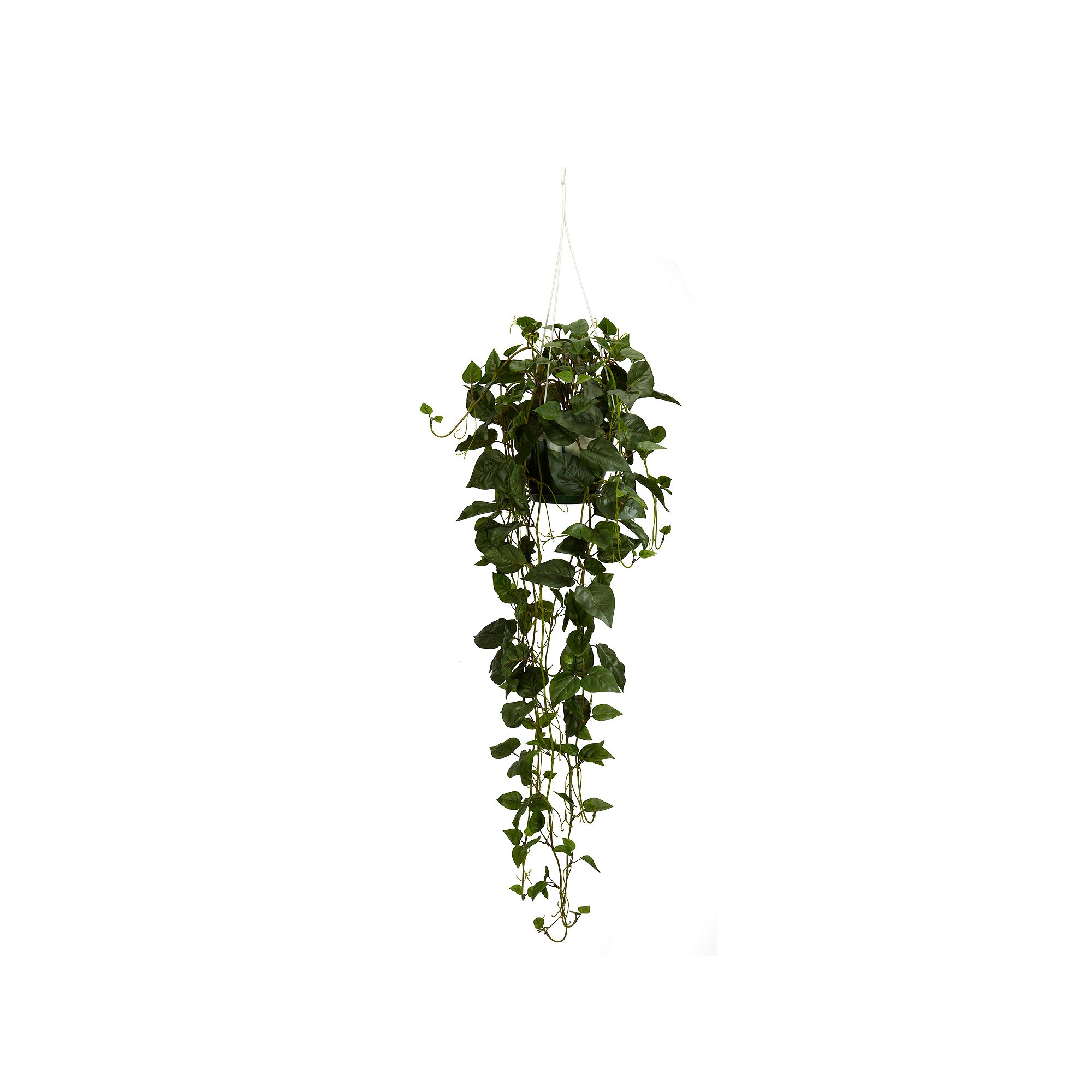 nearly natural Silk Philodendron Hanging Basket Plant, Green