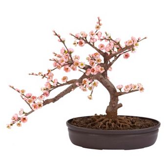nearly natural Silk Cherry Blossom Bonsai Tree