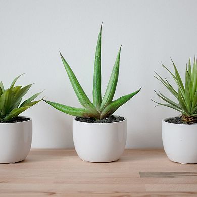 nearly natural Southwest Agave Artificial Plant 3-piece Set