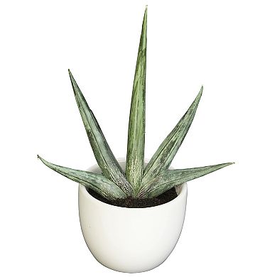 nearly natural Southwest Agave Artificial Plant 3-piece Set