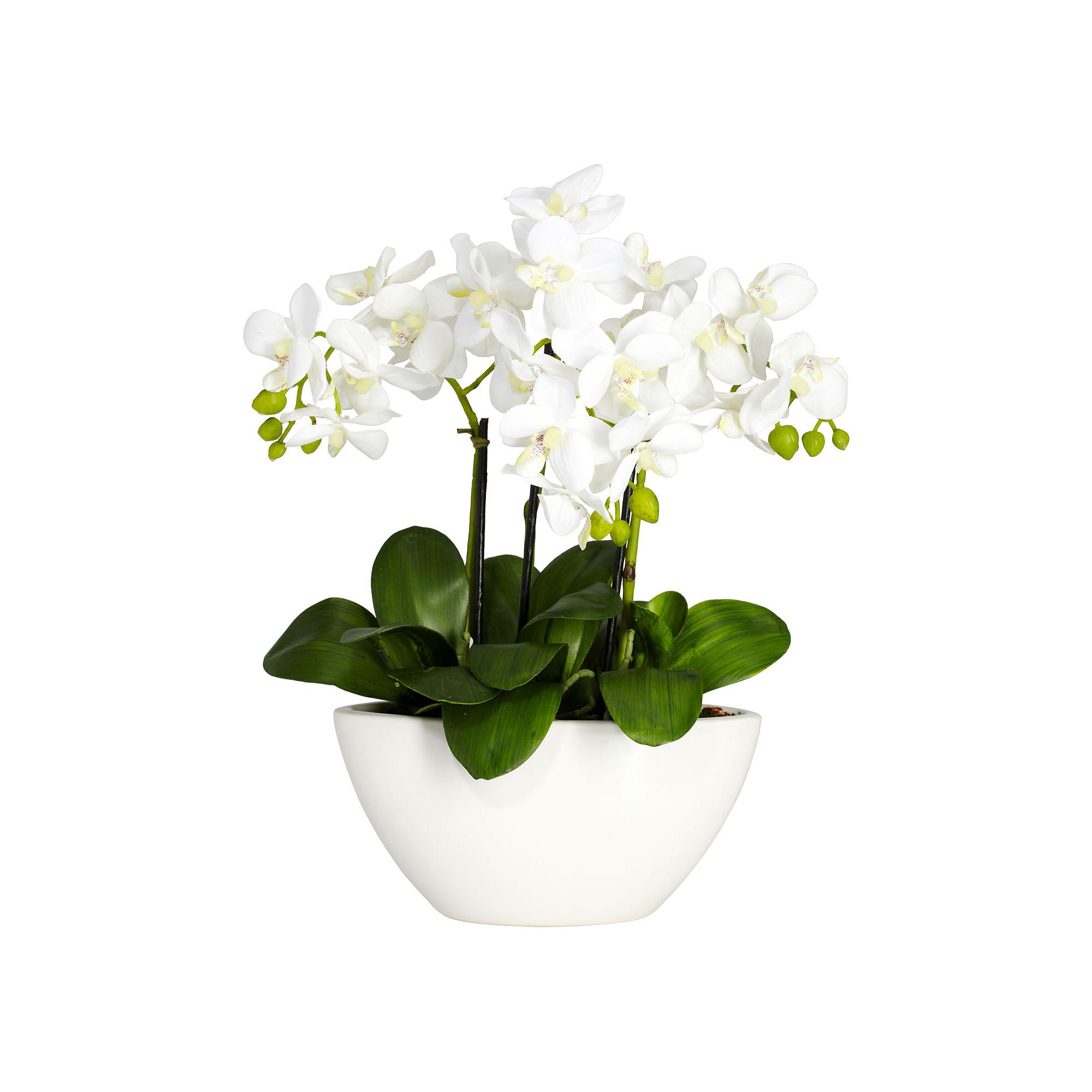 nearly natural Silk Phalaenopsis Floral Arrangement in a White Vase