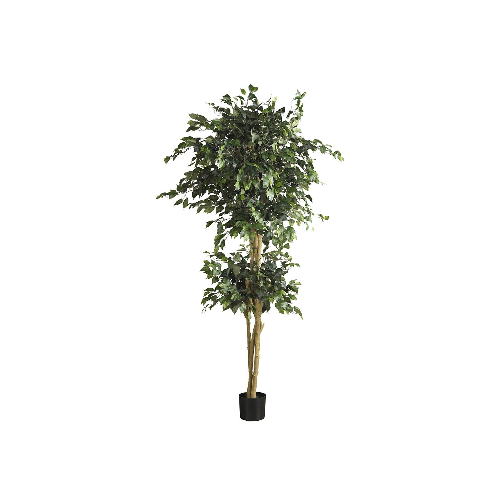 nearly natural 6-ft. Ficus Silk Tree, Green