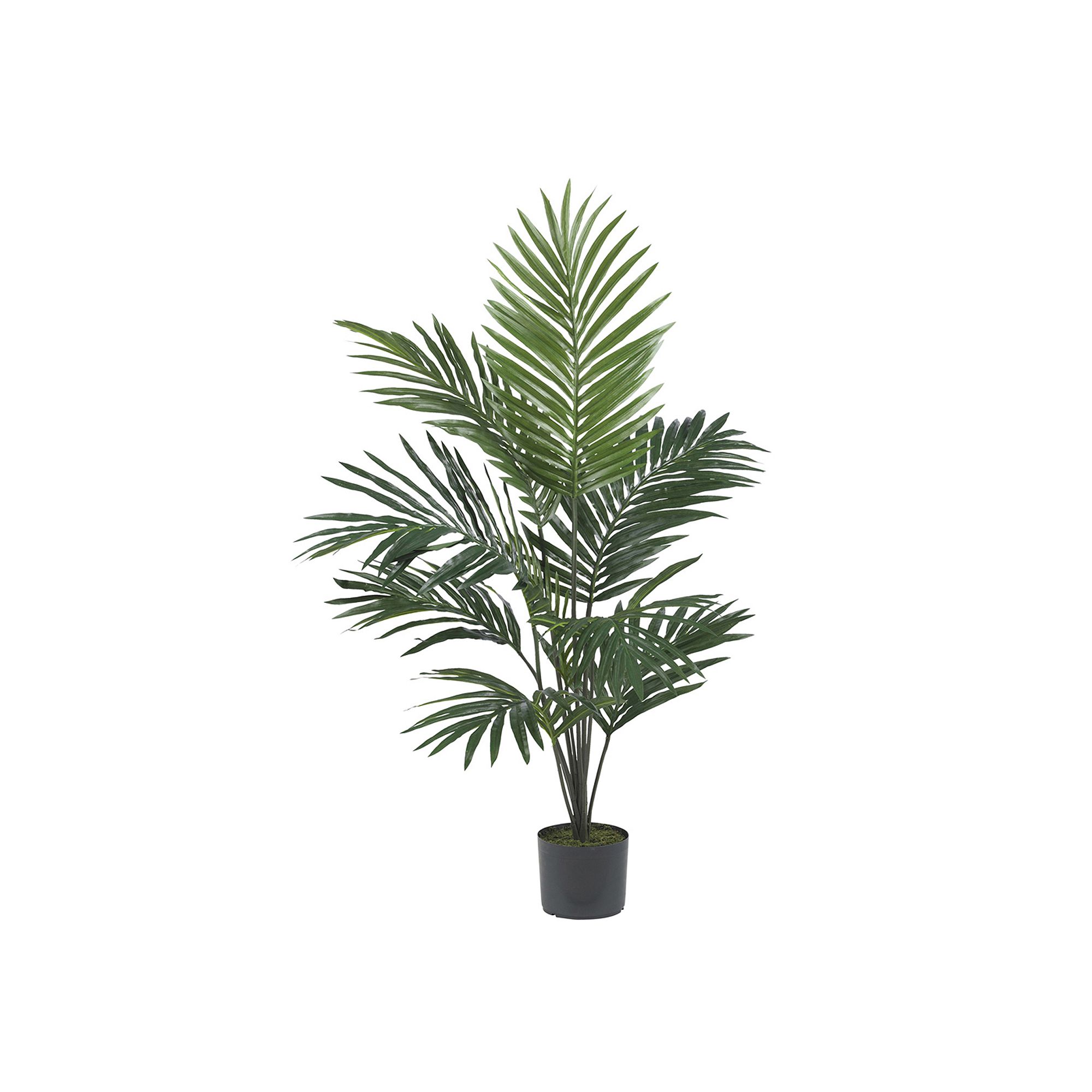 nearly natural 5-ft. Silk Kentia Palm Tree, Green