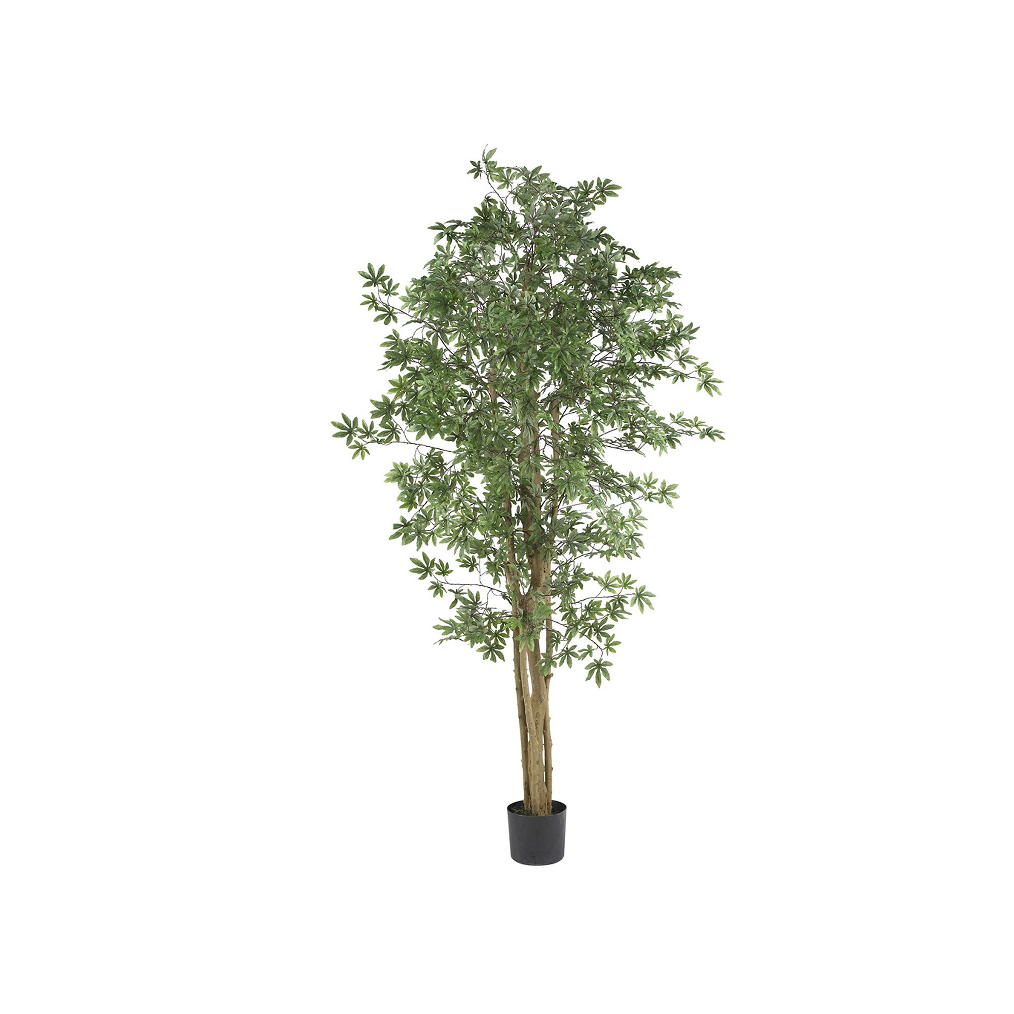 nearly natural 6-ft. Silk Maple Tree, Green