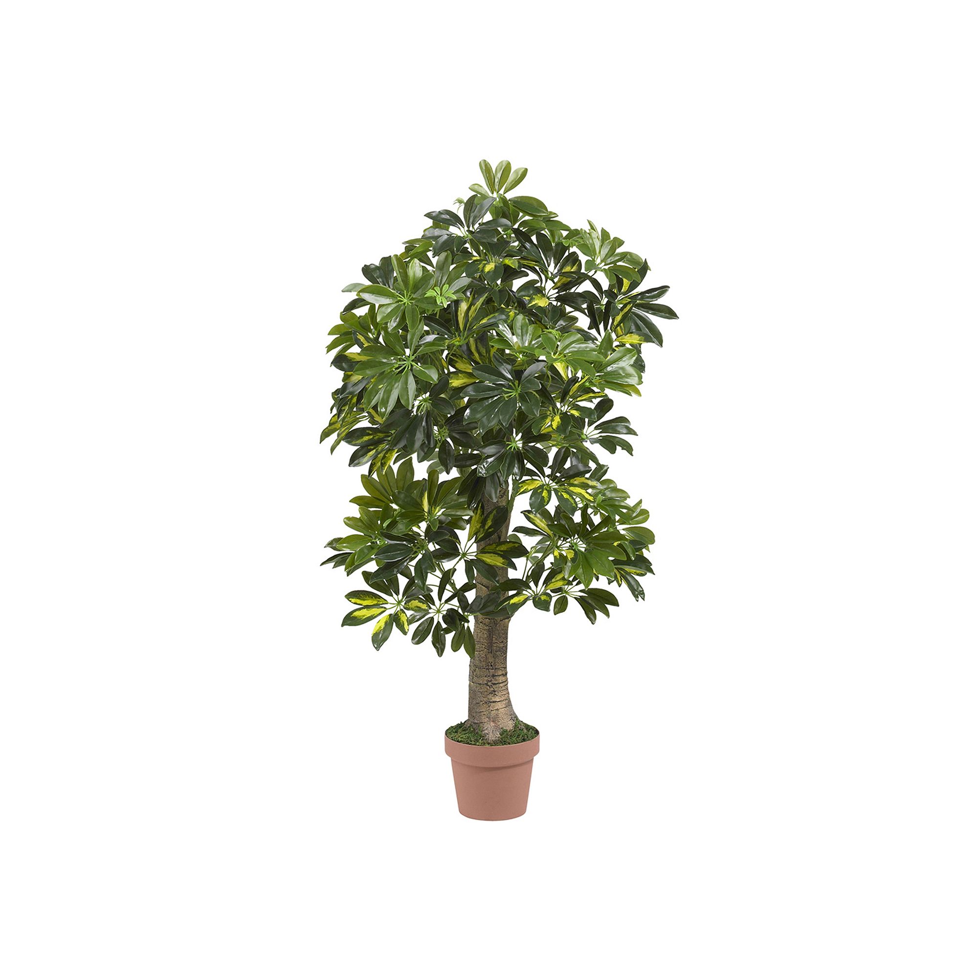 nearly natural Real Touch 4-ft. Silk Schefflera Tree, Green