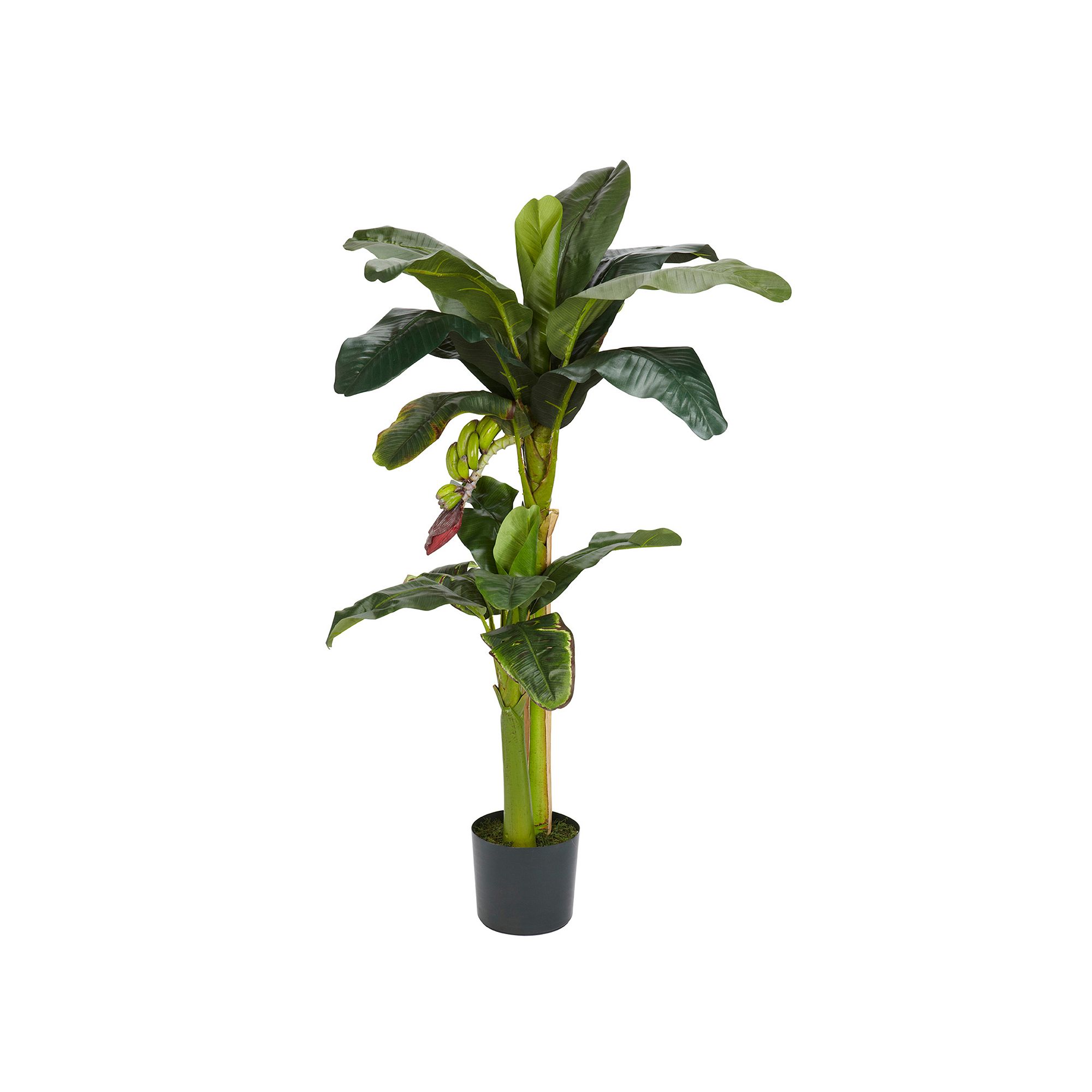5-ft. Silk Banana Tree with Bananas, Green