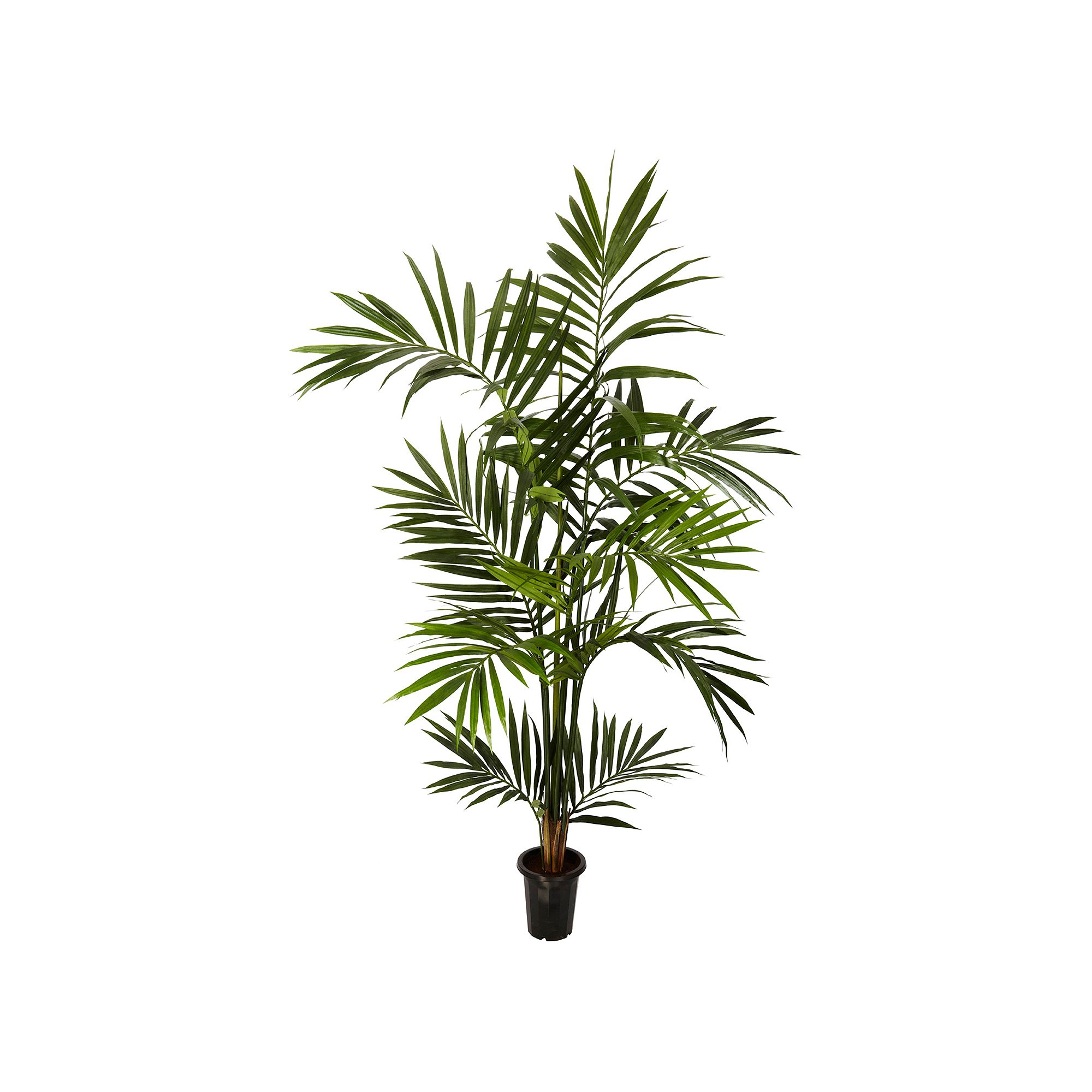 nearly natural 6-ft. Silk Kenitia Palm Tree, Green