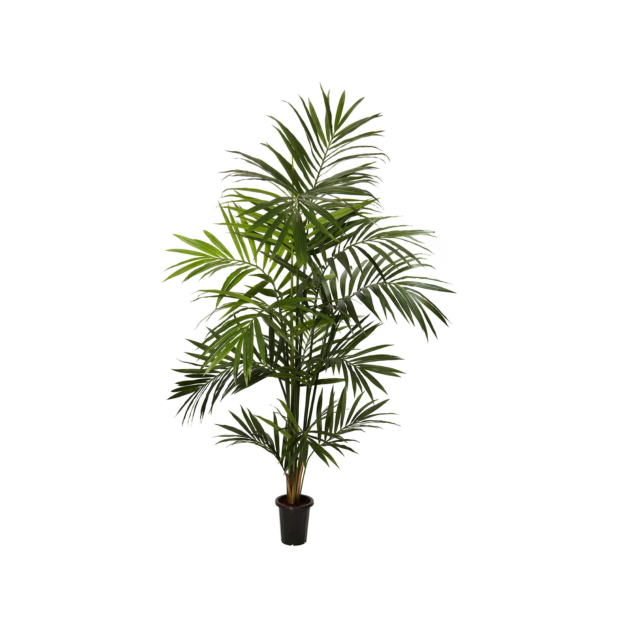 nearly natural 7-ft. Silk Kenitia Palm Tree, Green