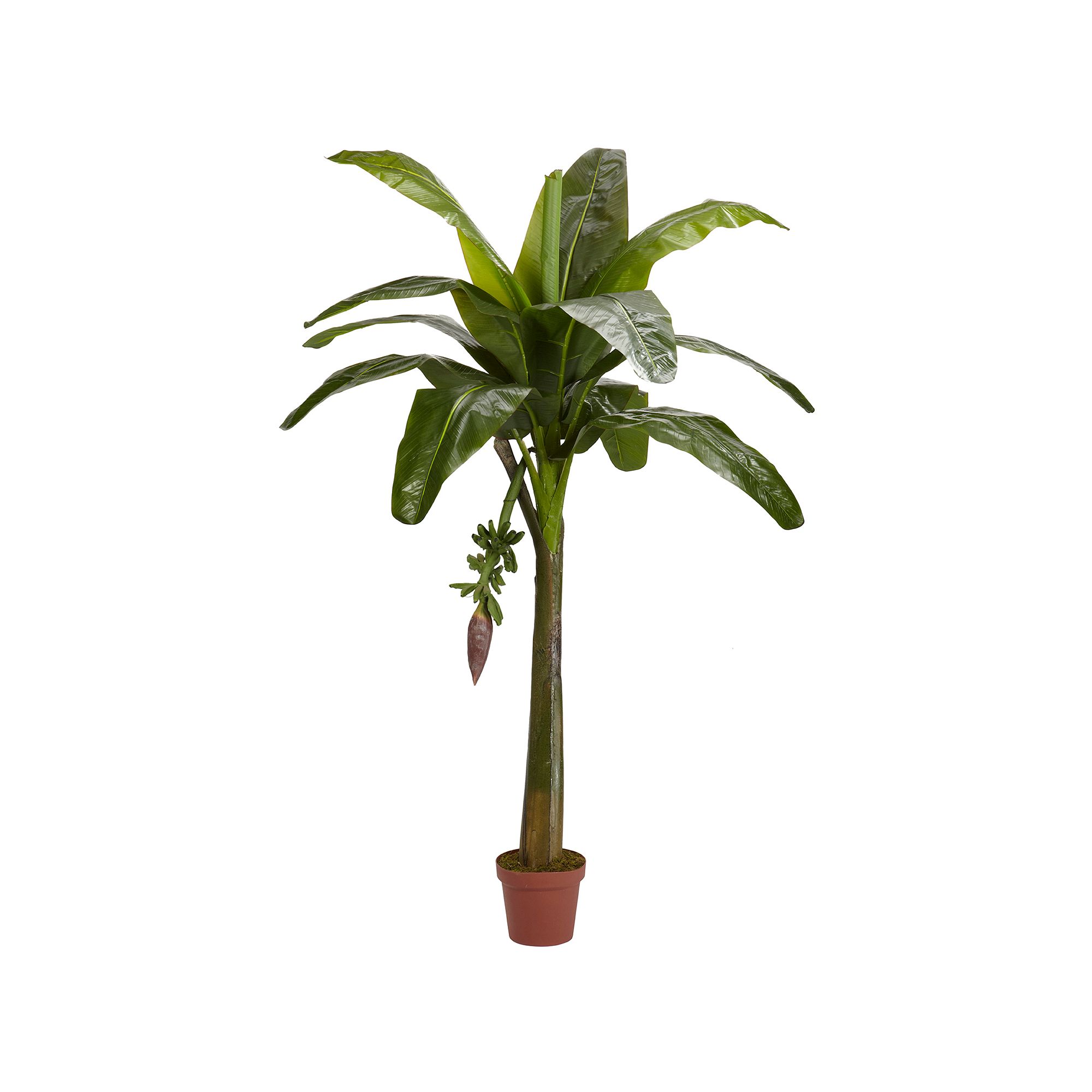 nearly natural Silk 6-ft. Banana Tree, Green